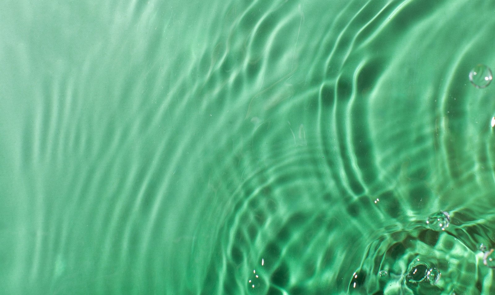 The Best Antioxidant