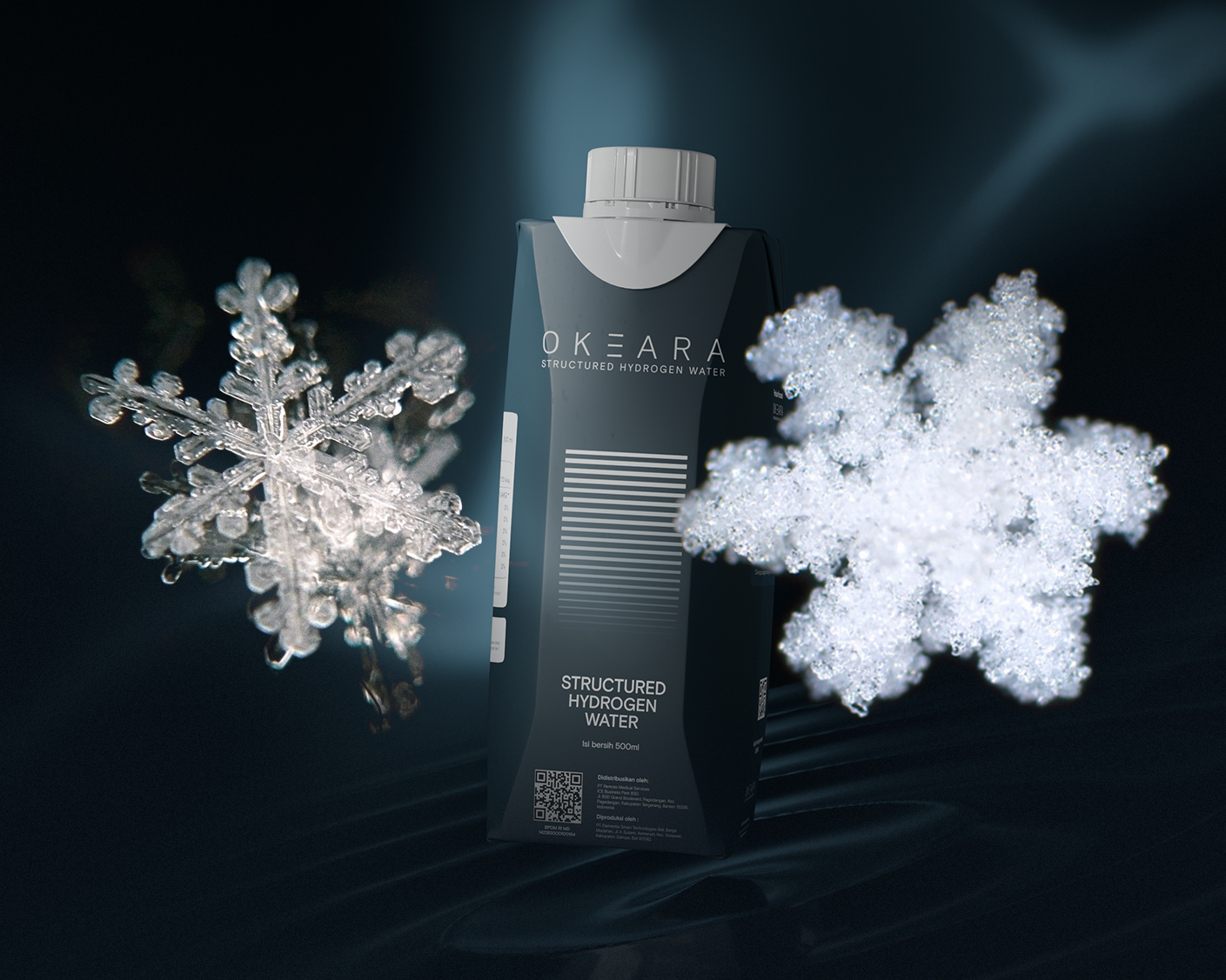 The-Structure-of-Longevity